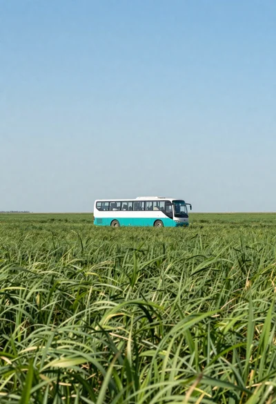 Teal and white bus crossing an endless green field