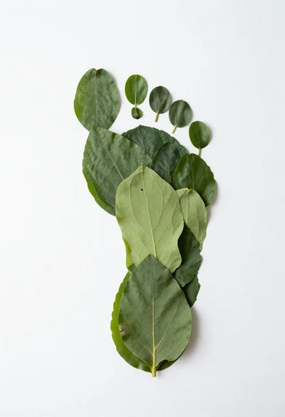 Foot shape made of green leaves on white surface