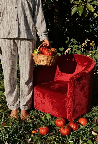 Person with basket of tomatoes near red armchair