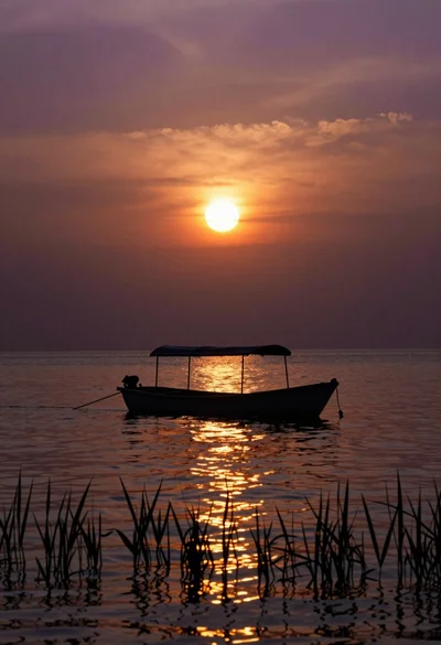 Wide angle sunset over calm water with boat silhouette and foreground reeds